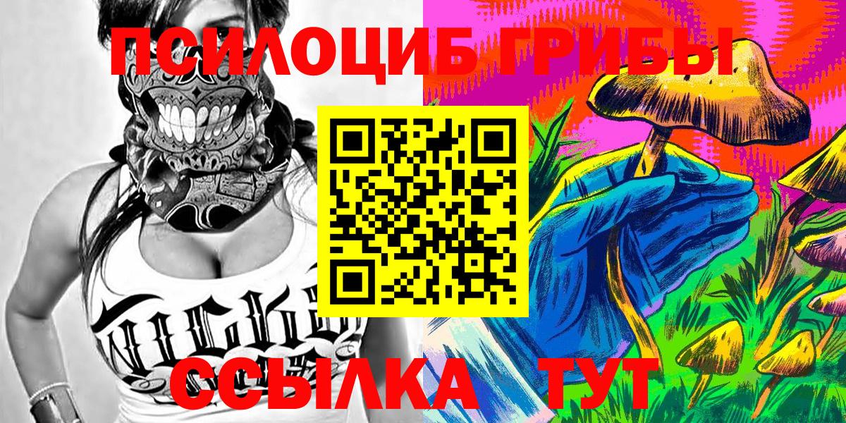 Кумертау  Псилоцибиновые грибы Psilocybe  Вход с VPN  Галлюциногенные грибы Psilocybe 