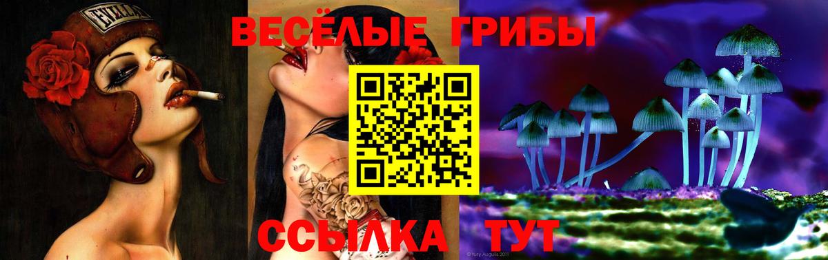 Псилоцибиновые грибы Psilocybe Кумертау